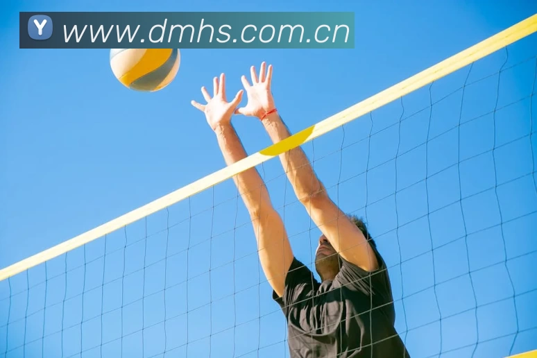 多媒体互动体验